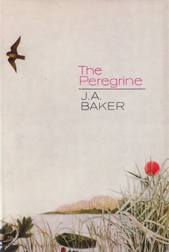 The Peregrine by J A Baker