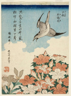 Cuckoo and Azaleas woodblock print by Hokusai